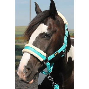 HB Horsewear Ensembles de têtière et de longe pour selle western et anglaise avec matériau en polaire QR pour chevaux et poneys - Product Image 1