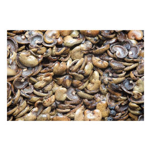 Coquille de noix de cajou en vrac à vendre stock de gros expédition rapide de haute qualité - Product Image 1