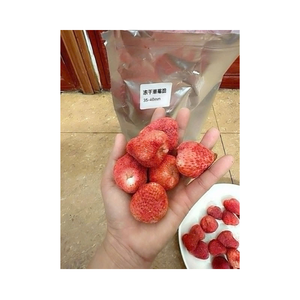 Vente en gros de chips de fraises croustillantes avec arôme intense et goût de fruits audacieux directement des fermes locales du Vietnam - Product Image 4