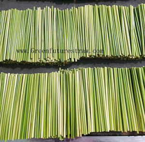 Pailles à gazon écologiques du Vietnam/100% pailles naturelles/pailles à gazon de haute qualité - Product Image 3