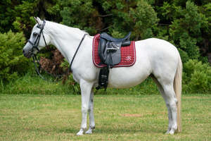 Saddle <b>Pads</b> Grey Suede Jump <b>Pad</b> Horse <b>Rugs</b> - Product Image 4