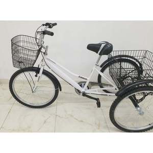 Bicicleta Dorello 1234 con Ruedas de 20 Pulgadas, Horquilla de Acero, Color Blanco, Bicicleta de Carga con Cesta, 18 Velocidades, Capacidad de Carga de 100 kg, Bicicleta para Carretera - Product Image 2
