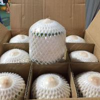 Biologische Jonge Kokosnoot Diamant Vorm Verpakking 9Kg Doos Verse Fruitschaal Hele Export Midden Oosten 84 976727907