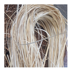 Núcleo redondo de ratán crudo de alta calidad: suministro a granel para cestería, artesanía decorativa y producción internacional de muebles - Product Image 6