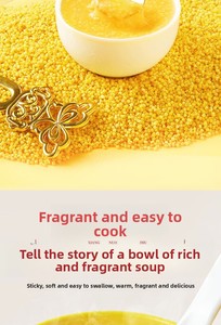 25 Nouveaux Grains de Millet Jaune Chigawa Enrichi en Sélénium 2,5 kg Chifeng Aohan Millet Entier Produit par les Petites Fermes pour Porridge (Terre Continentale) - Product Image 6