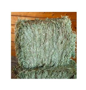 Foin de Timothy en vrac de qualité supérieure, bon marché, pour chevaux et bovins, origine américaine, qualité A, durée de conservation de 1 an - Product Image 4