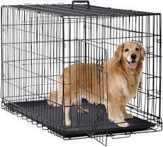 Cage pour chien extra-résistante à double porte, pliable, en métal, panneau unique, roulettes, cage pour chien en métal de haute qualité - Product Image 4