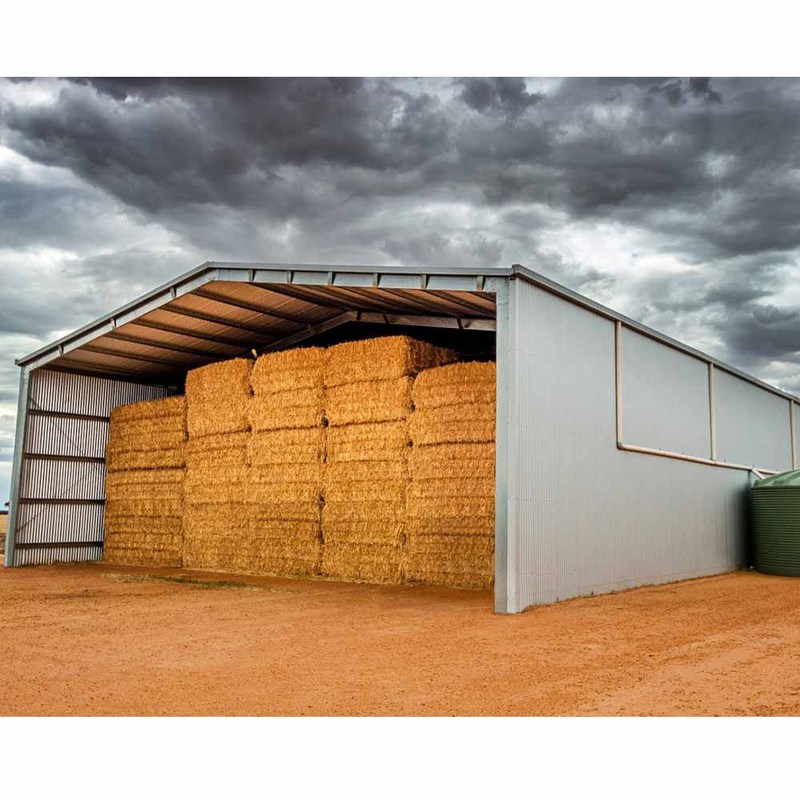 High Quality Steel Structure hay Shed
