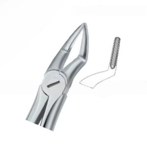 Pince d'extraction de dents Fig51 Produits de logo personnalisé de haute qualité Instruments dentaires en acier inoxydable - Product Image 6