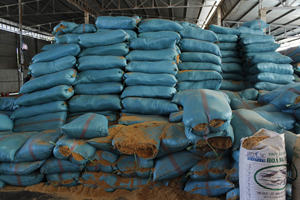 Coco Peat, Bolsa de 80 Litros, Fibra de Coco, Medio de Cultivo para Invernadero - Product Image 6