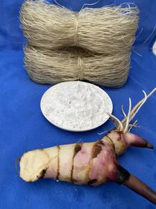 Polvo de arrowroot orgánico de alta calidad al mejor precio en Vietnam, envasado en 25 kg-50 kg y para el mercado internacional. - Product Image 3