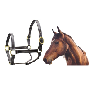 Accessoires de selle australienne en cuir véritable cheval bride et licous produit cousu fantaisie du fabricant indien - Product Image 4