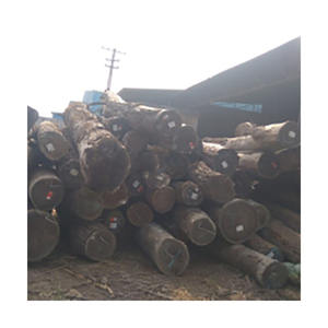 Approvisionnement en vrac de grumes wengé solide fourni avec une livraison fiable - Product Image 3