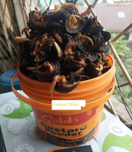 Escargots géants d'Afrique séchés de qualité supérieure 100% naturels, épicés, pour adultes, approvisionnement en vrac, escargots comestibles, origine Allemagne - Product Image 2