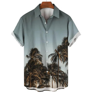 Chemise pour hommes t-shirts de plage décontracté respirant à manches courtes chemises boutonnées 3D imprimé vêtements pour hommes vacances d'été - Product Image 2