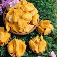 Topleverancier In Vietnam Hete Verkopende Natuurlijke Fruitproducten Bevriezen Knapperige Gedroogde Fruitjackfruit