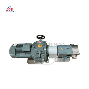 Bomba Rotativa de Lóbulos de Ahorro Energético con Variador de Frecuencia para un Control Preciso del Flujo - Product Image 4