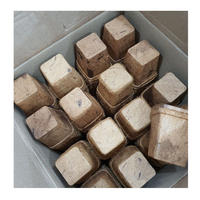 Pot de noix de coco biodégradable belle jardinière en pot de coco parfaite pour les fleurs herbes légumes dans la maison jardin balcon patio