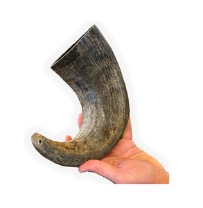 Cuerno natural Comida para perros Masticar Material al mejor precio Cuerno de búfalo Masticar para perros Precio al por mayor de alta calidad Cuerno de búfalo Comida para perros Masticar - Product Image 2