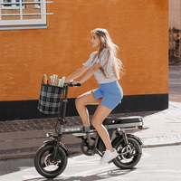 Bicicleta Eléctrica Plegable Mini sin Escobillas T14 48V 10Ah con Batería Oculta, Motor de Cubo Trasero de 250W 30Nm y Neumático Ancho