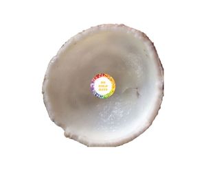 Viande de noix de coco congelée d'approvisionnement en vrac 2025: Jeune viande de noix de coco congelée pure et naturelle IQF du Vietnam prête pour l'exportation de l'industrie alimentaire - Product Image 1
