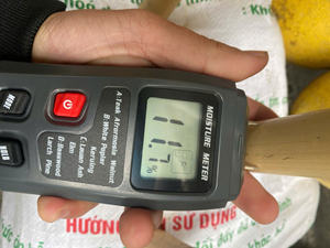 Estacas de bambú seco | Tratamiento antimoho personalizado | Agricultura | Fabricante - Product Image 5