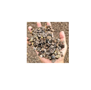 Cáscara de Nuez de Palma Premium, Fuente de Energía Biomasa Natural, Disponible en Grandes y Pequeñas Cantidades, de Austria, Venta al Por Mayor - Product Image 5