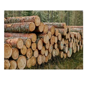 Suministro directo de troncos y maderas de madera noble a la venta, madera económica y duradera para la fabricación de muebles y la construcción - Product Image 4