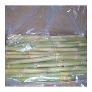 Caña de azúcar congelada - Product Image 2