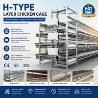Cage à poulets de type H, système de cages en batterie à plusieurs niveaux, équipement en acier galvanisé pour l'élevage avicole industriel