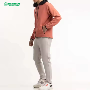 Sweat-shirts à capuche unisexes personnalisés, style streetwear décontracté, broderie, fermeture éclair, 100% coton, molleton/tissu éponge français, séchage rapide, respirant, faible MOQ - Product Image 2