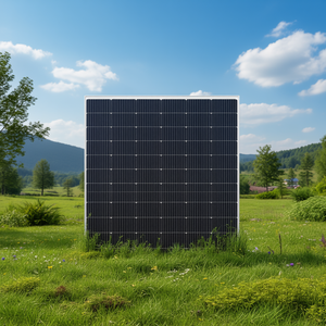 Panneau solaire monocristallin bifacial de type N haute efficacité ALife Solar AL-66HBD-495 600W - Product Image 3