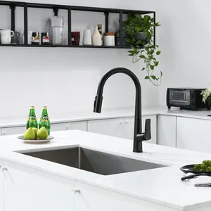 Rubinetto del rubinetto del lavello della cucina a foro singolo nero opaco rubinetto dell'acqua calda e fredda di alta qualità