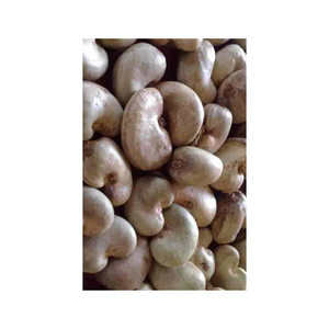 ¡100% anacardos secos de estilo fresco sin aditivos naturales a la venta! - Product Image 3
