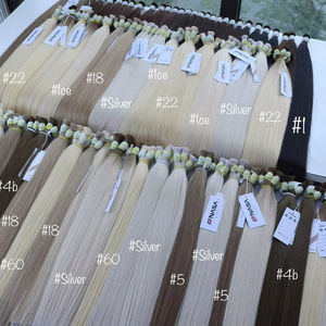 ผมดิบ100% เวียดนาม1แพ็ค100กรัมสีอ่อนขนาด24นิ้ว - Product Image 1