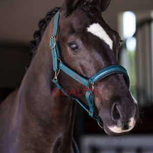 Combinaison de bride et de licou en cuir pleine fleur durable de style anglais pour chevaux conçue pour une utilisation en extérieur avec une taille personnalisable - Product Image 5