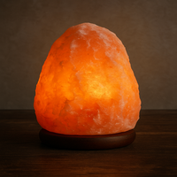 Lampe en sel de roche naturel de l'Himalaya, base en bois, sculptée à la main, style Feng Shui, portable, pour la décoration de la maison et le bien-être