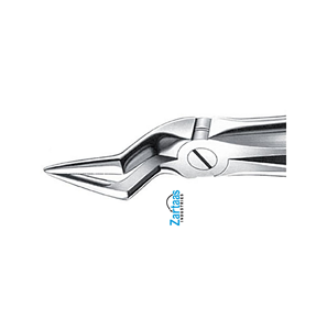 Fórceps de extracción de acero inoxidable de alta calidad raíces superiores fig. 51 exportadores y fabricante - Product Image 4