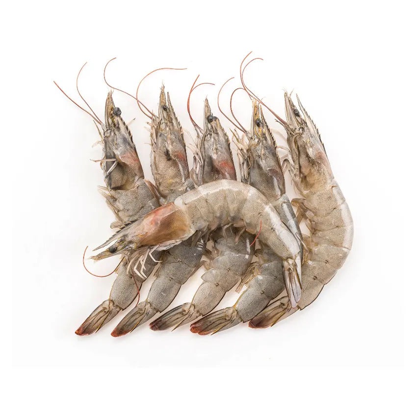 Shrimps Frozen Wholesale Quality Exporting Natural Delicious Fresh Seafood Healthy Food Freshwater Live Ecuador Frozen Shrimp