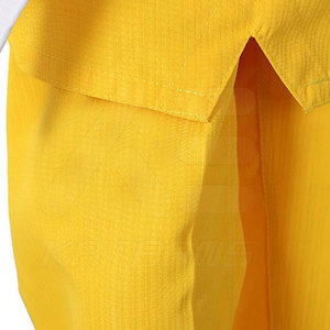 Uniforme de Taekwondo Amarillo AE para Adultos, Ropa de Artes Marciales de Algodón, Cinturón Blanco, Transpirable, de Secado Rápido, Duradero, Corte Regular, Unisex, para Práctica - Product Image 5