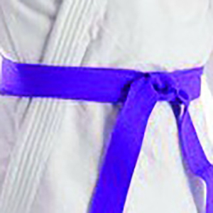 Vêtements de sport d'arts martiaux OEM personnalisés unisexes nouveau style les plus vendus costumes de judo et de karaté en différentes couleurs fabriqués au Pakistan - Product Image 6