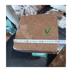 Bloc de tourbe de fibre de noix de coco de haute qualité exporté du Vietnam pour des applications agricoles et horticoles - Product Image 6