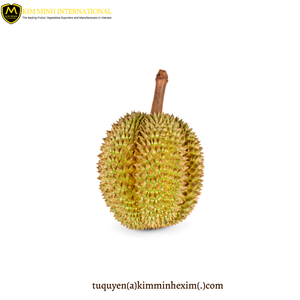 Premium IQF Process Frozen <b>Durian</b> with Water Preservation Bulk Packaging From Vietnam Manufacturer - Product Image 3
