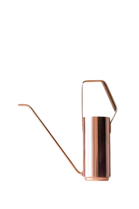 Pot d'arrosage en métal pour plantes d'extérieur ou d'intérieur, décoration de jardin, conteneurs de stockage pour la maison, autres fleurs décoratives - Product Image 6