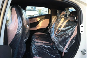 Venta rápida LHD/RHD 2023 Seagull B Y D modelo Seagull 2025 con 405 km de autonomía - Product Image 2