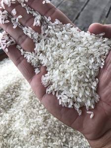 ข้าวญี่ปุ่น2025- Riz-arroz-whatsap 0084 989 322 607 - Product Image 4