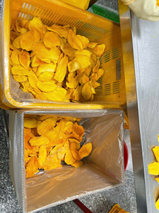 Collation naturelle de fruits tropicaux de mangue séchée douce du Vietnam, sucrée et moelleuse, idéale pour l'exportation, les importateurs en gros et les distributeurs de produits alimentaires - Product Image 4