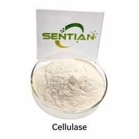 Poudre d'enzyme cellulase de qualité alimentaire CAS 9012-54-8 haute activité pour le textile, la boulangerie et l'extraction de jus