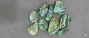 Cabochon en pierre naturelle d'abalone de qualité supérieure, cabochon en coquille naturelle poli pour la guérison, formes variées - Product Image 2