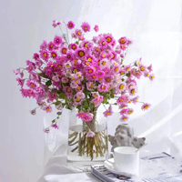 Bouquet de fleurs séchées d'Helichrysum naturel, marguerite éternelle pour mariage bohème, fête des Mères, décoration de remise de diplôme, longue durée 3-5 jours